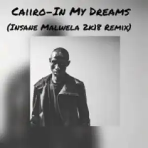 Caiiro - In My Dreams (Insane Malwela 2K18)